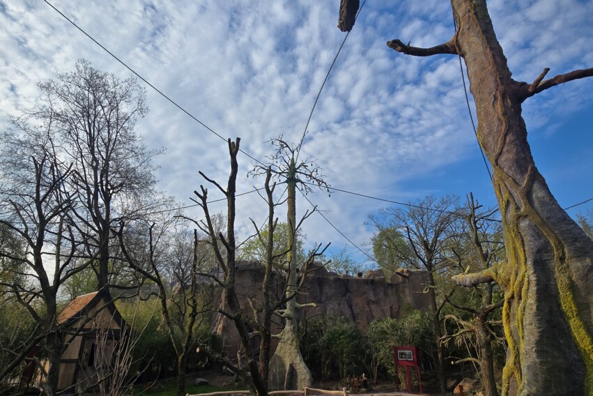 Zoo Inselwelten - verkleidete Stahlkonstruktion