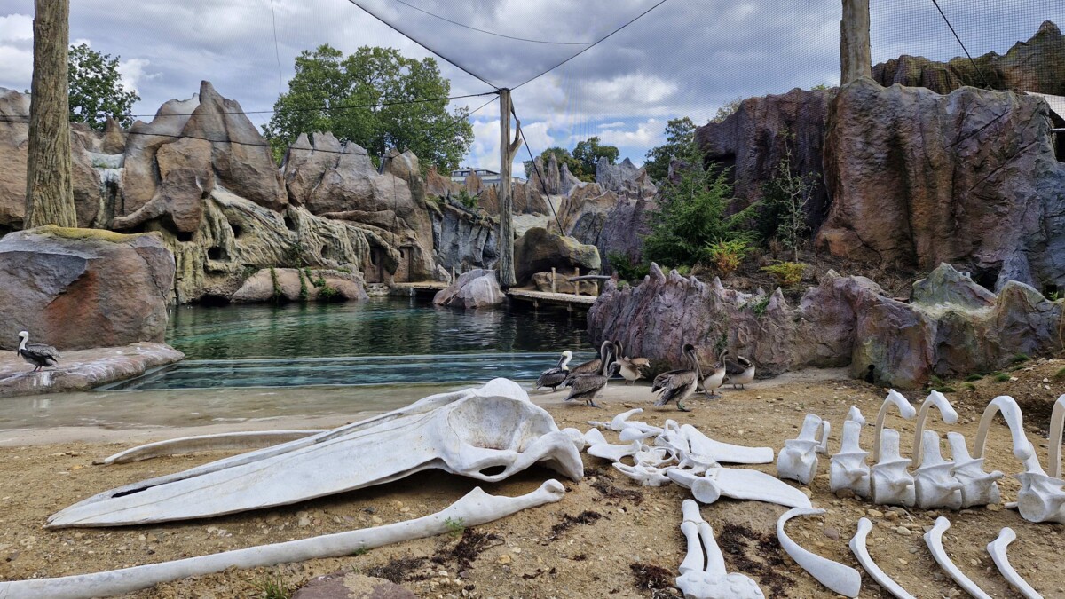 Zoo Feuerland-neue Wasserwelt