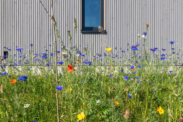 Sonnenwinkel - &ouml;kologischer Bau (Foto Stefan Unnewehr)