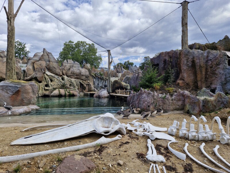 Zoo Feuerland-neue Wasserwelt Zoo Feuerland-neue Wasserwelt